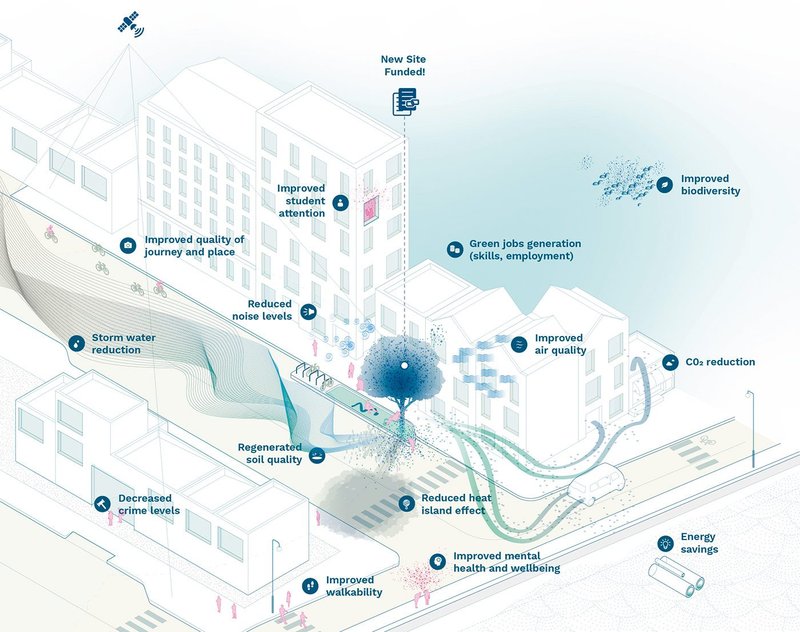 TreesAI uses data to show social and financial value of urban forests.