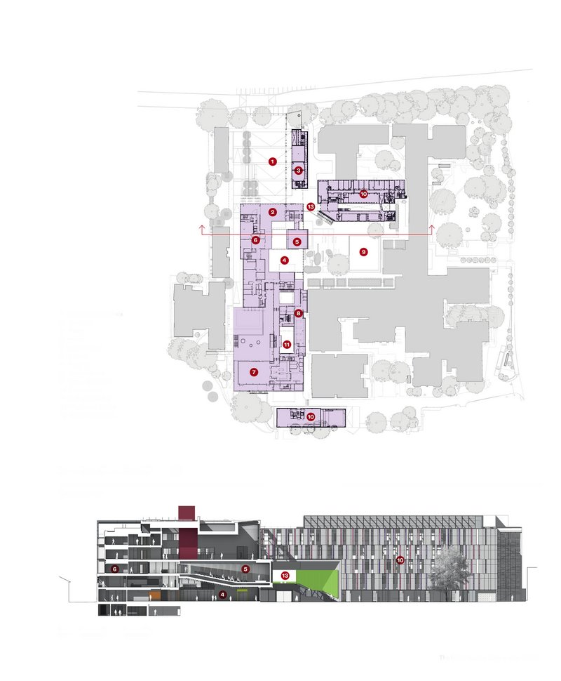 Section and plan of the new building