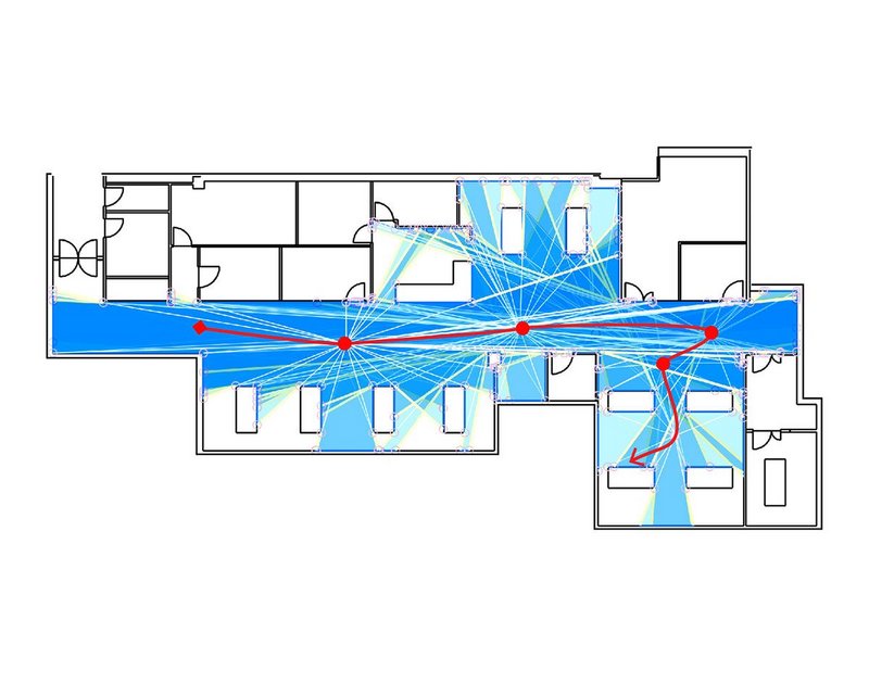 Isovist paths diagram showing the viewsheds in a ward.