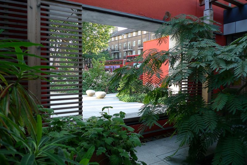 Plants frame the outside world in green at Maggie’s in Hammersmith.