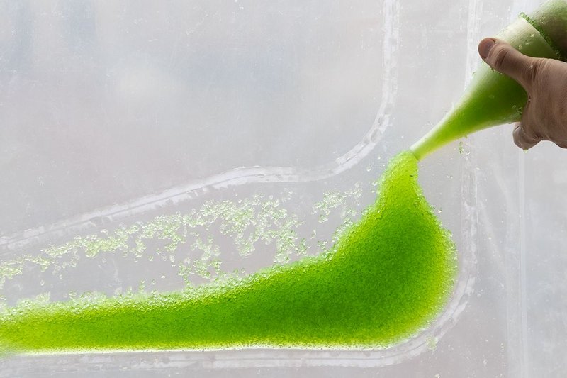 Microalgae in the pillows captures and stores CO2 molecules and air pollutants and grows into biomass.