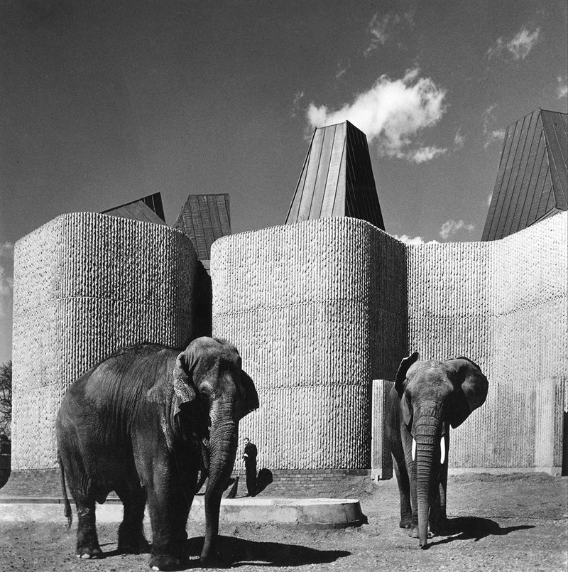 Elephant house | RIBAJ