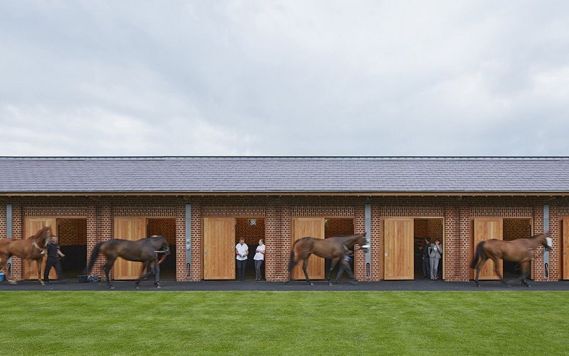 Phelan Architects' new northern end redevelopment for York Racecourse