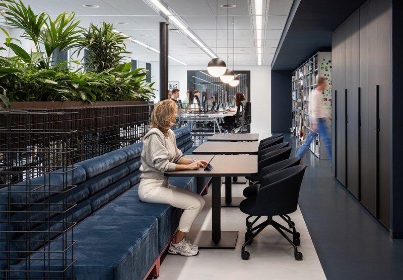 Biophilic design: a bank of plants acts as a divider, bringing nature into the workspace and making it feel healthier.