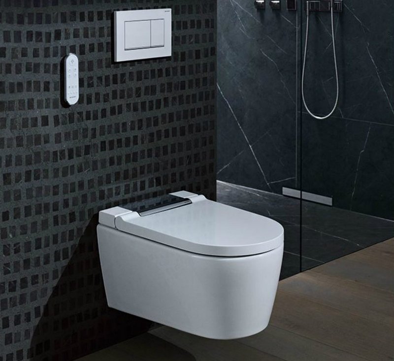 Geberit Duofix for drywall construction and all sanitary appliances, including wall-hung toilet frame, washbasins and urinals.