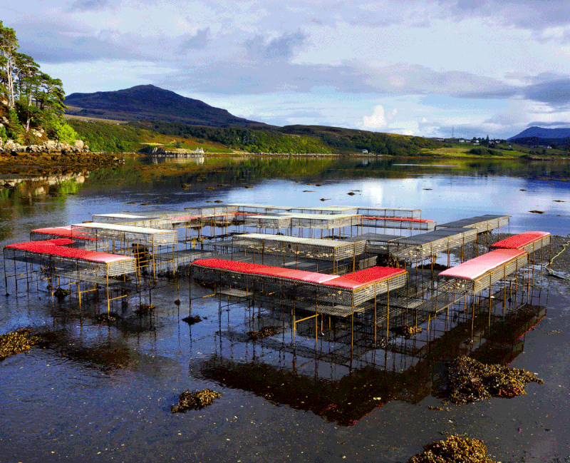 CLIMAVORE: On Tidal Zones, Cooking Sections, Isle of Skye, Scotland. 2015-. Every day at low tide, the installation emerges above the sea.