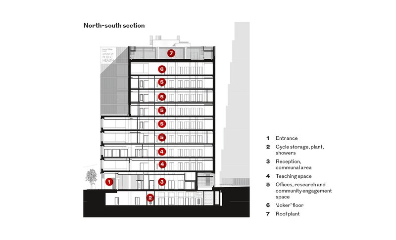 North-south section.