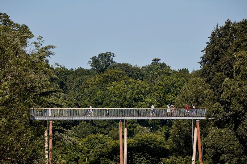 Stihl Treetop Walkway, Tetbury Glenn Howells Architects.