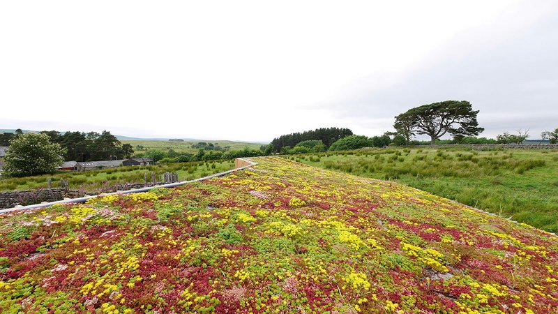 Rochester Roundhouse sedum roof.