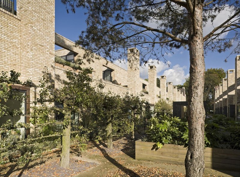 The Stirling prize winning Accordia housing scheme in 2008