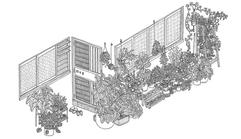 Corridor Garden – Medium. 420mm x 297mm, ink on paper.