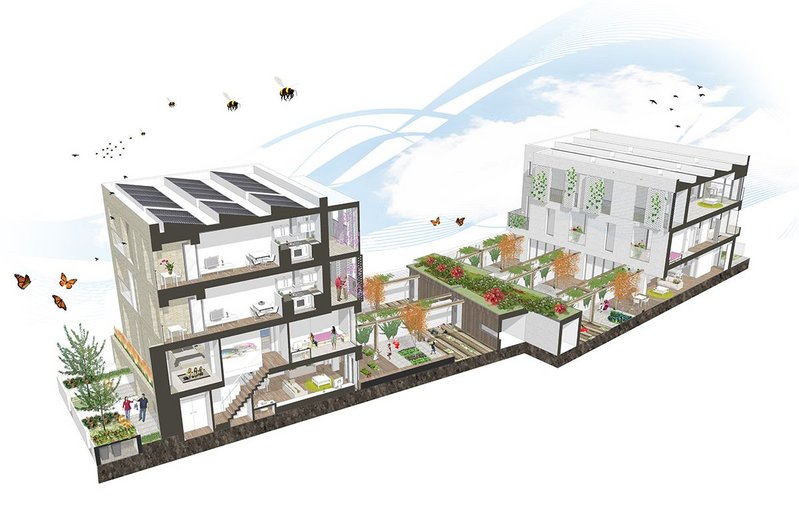 Sectional perspective showing internal arrangements and private amenity design.