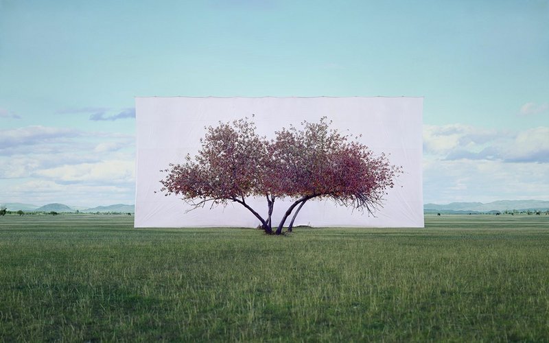 Myoung Ho Lee Tree... #2, 2012 Ink on Paper 104 x 152 cm