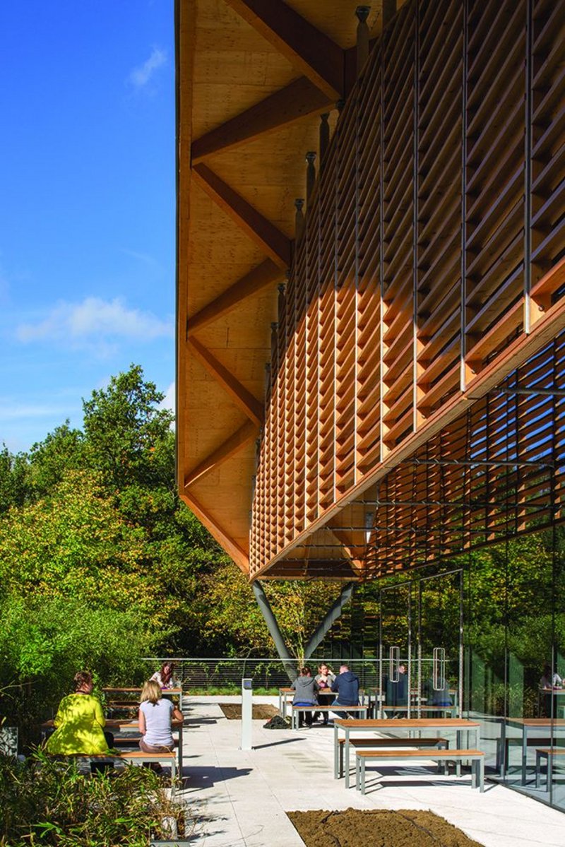 Even the external spaces are defined by the overarching roof which gives a sense of shelter to the sunny terrace.