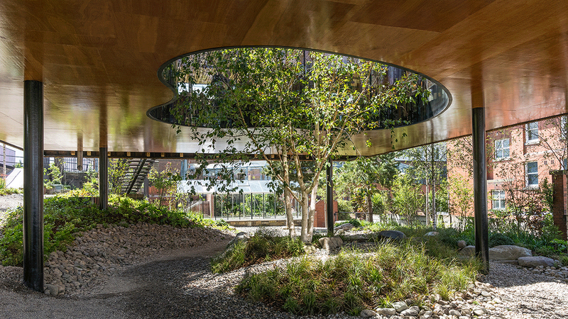 The building is raised above a garden and wraps itself around an established tree – an emblem of hope.