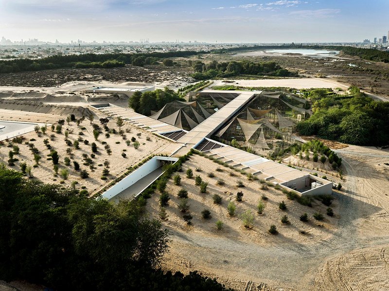 X-Architects, Wasit Wetland Centre, Sharjah, 2012. This innovative interpretative centre by a local, Dubai-based practice was part of a larger initiative to rehabilitate an extensive area of derelict wasteland. Photo: X-Architects.