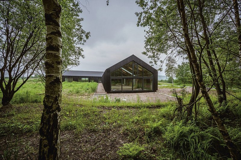 Looking to the building from its ‘third’ wing – the line of birch woods beside it.