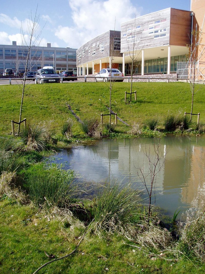 Hazeley Academy SuDS project