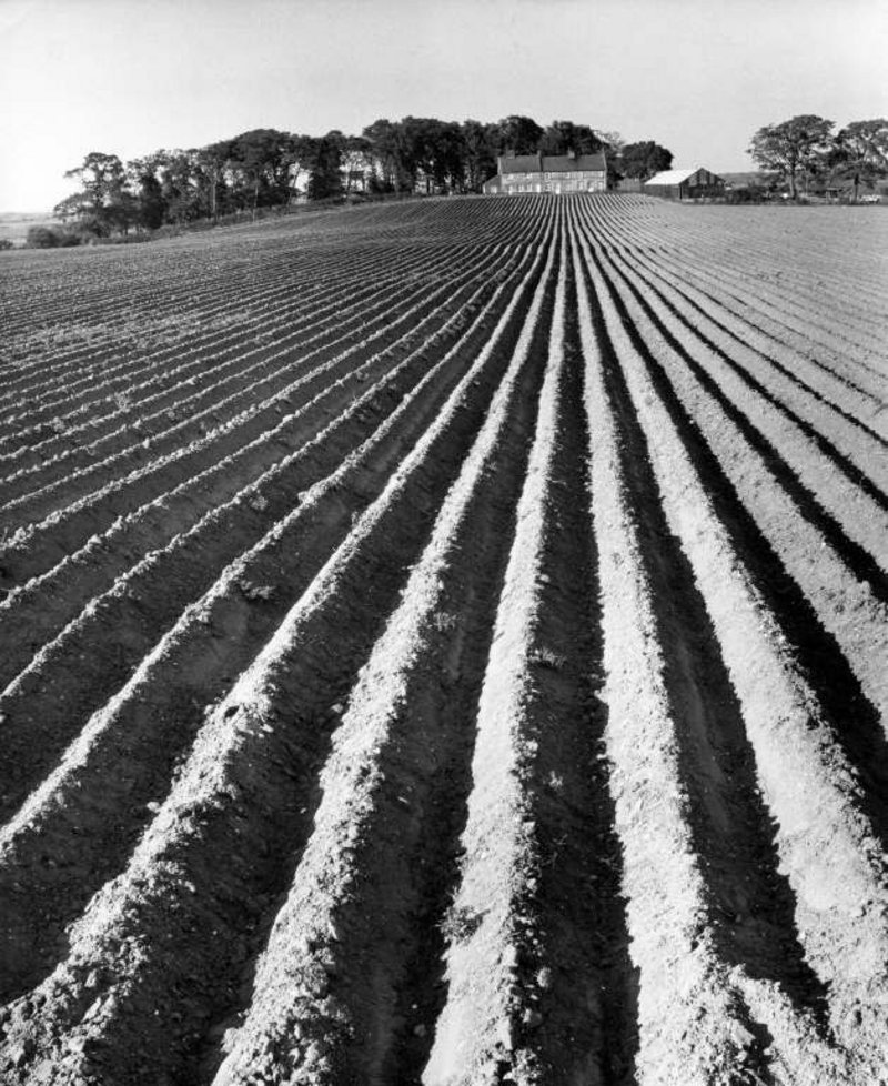 Nostalgia and record sit side by side in Smith’s work, as here: the cottage looking out over its working landscape of the newly ploughed field, Holkam, Norfolk (1970).