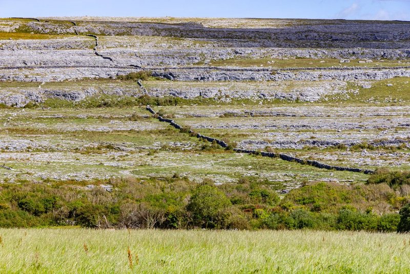 300 million year old Namurian Limestone.