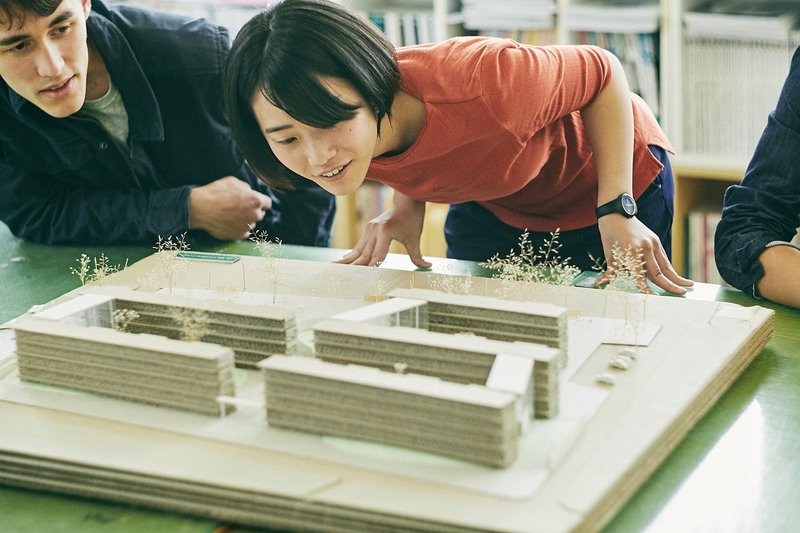 If higher education institutions take on some form of regulation of professional practical experience cuts will be required to existing offerings for students.