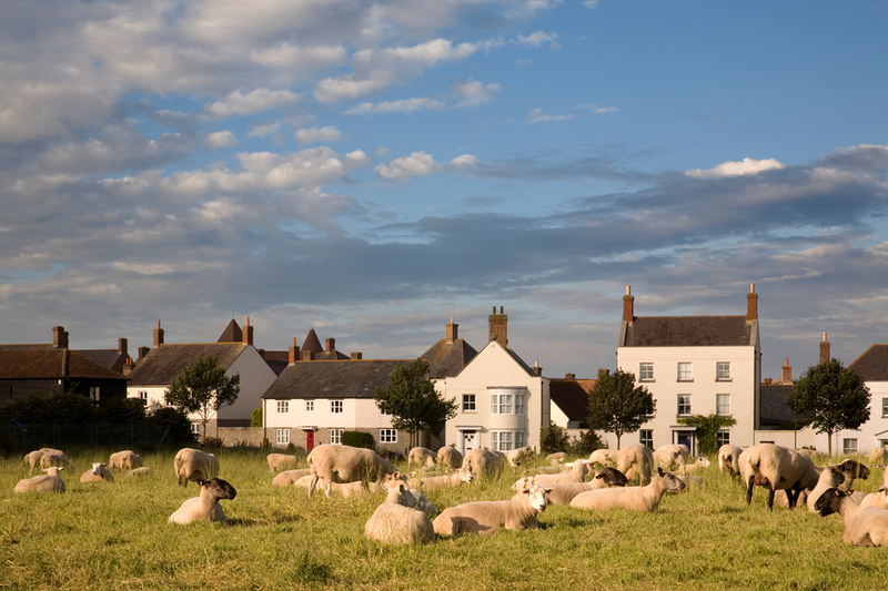 Can design codes prevent ugliness or ensure beauty? Codes played a strong part in the design of Poundbury, Dorchester.