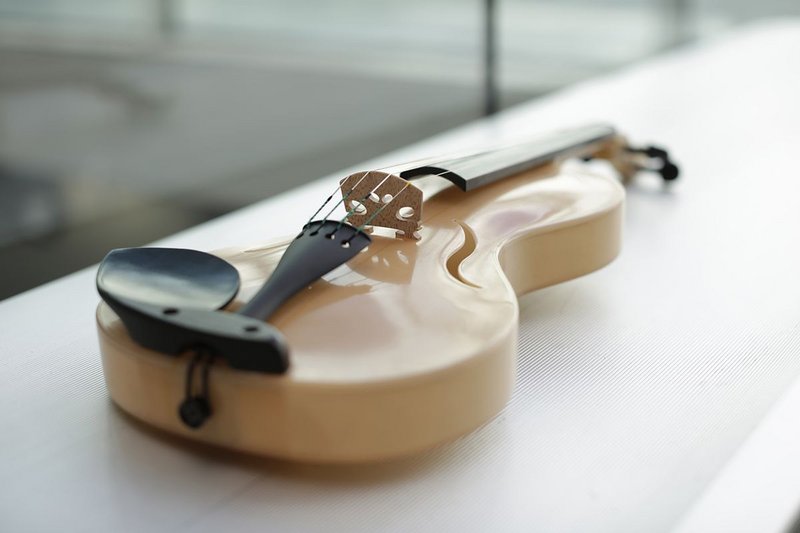 Spider Silk Violin made by Luca Alessandrini using silk from the Golden Orb spider