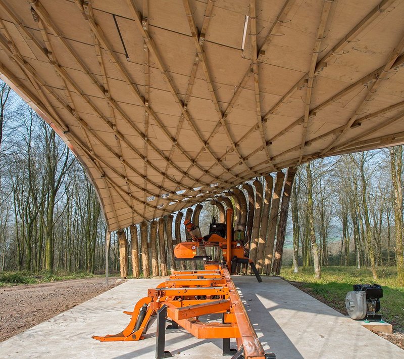 Tree trunk columns support the roof.