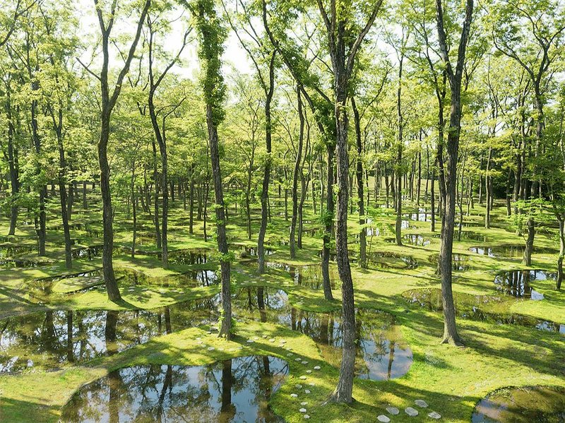 Art Biotop Water Garden in Nasu, Japan, designed by Junya Ishigami.