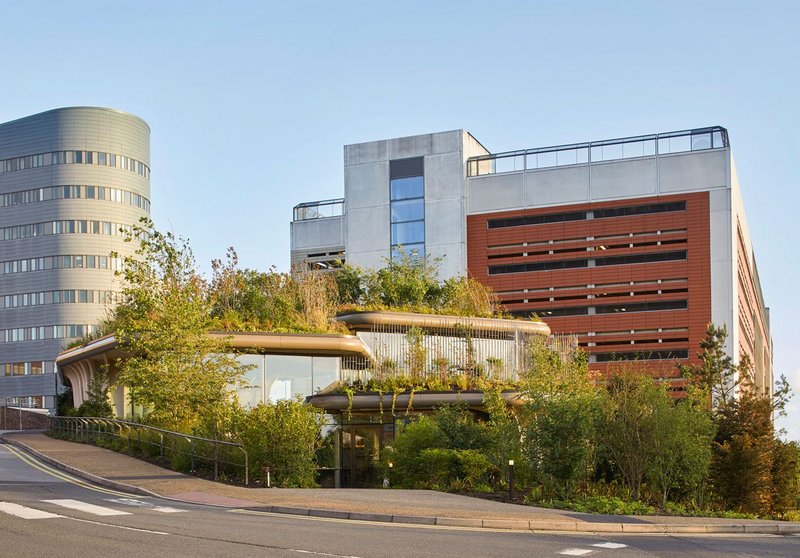 A valued patch of green space on the St James University Hospital site has been reborn as a ‘wilded’ Maggie’s.