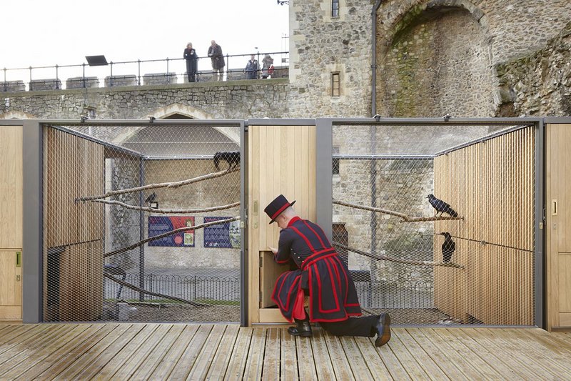 Ravens Enclosure, Tower of London