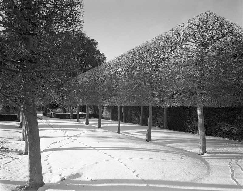 The Stilt Garden, Hidcote Manor Cotswolds, Gloucestershire, 1907-1930.