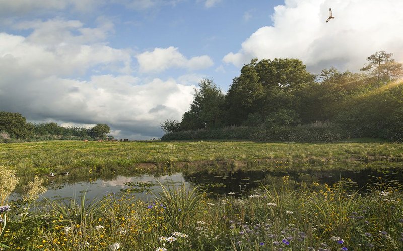 Off-site habitat banks can help increase BNG, providing landscape-scale biodiversity.