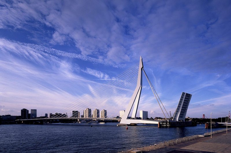 Erasmus Bridge, Rotterdam.