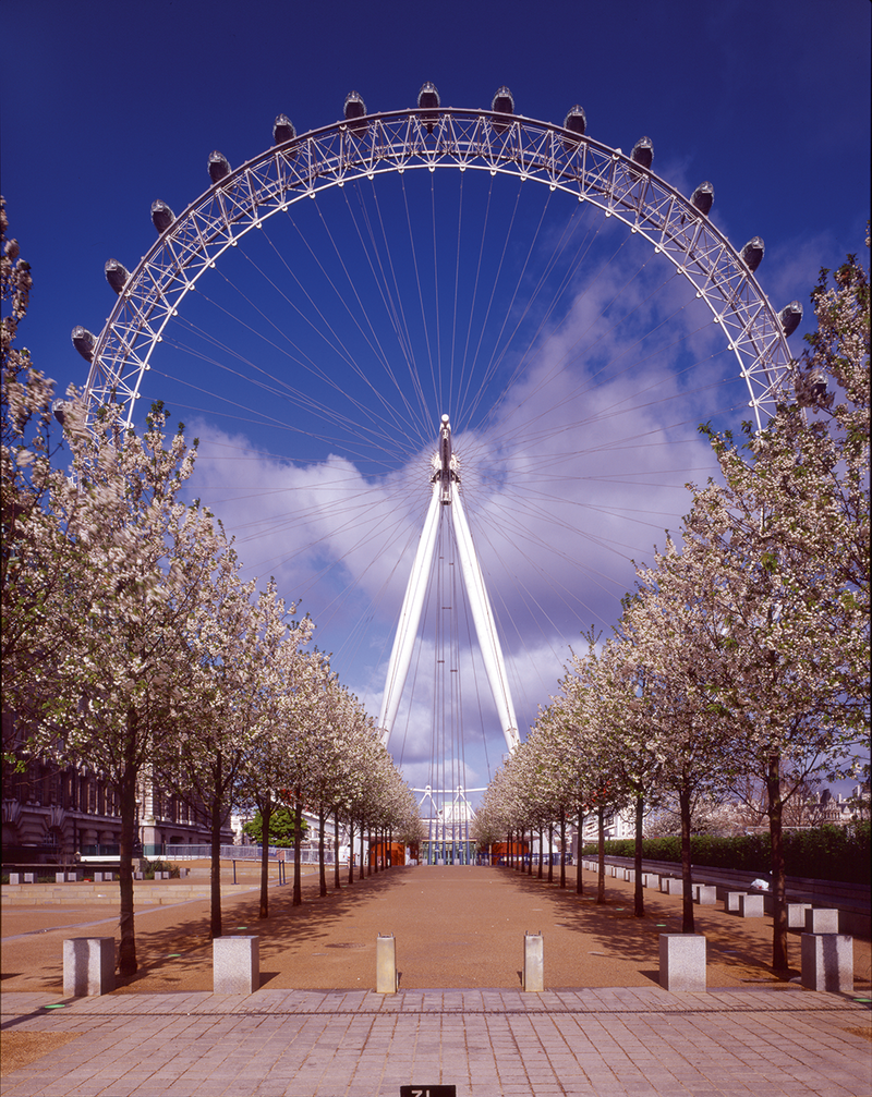 London Eye, viewed here from Jubilee Gardens, was Marks Barfield Architects’ breakthrough project.