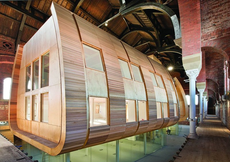 The pod-like intervention is clad in plywood and western red cedar