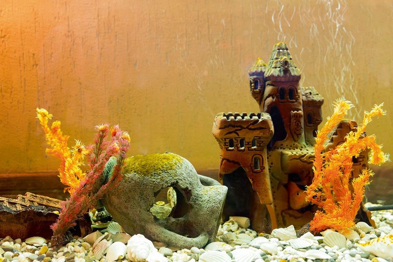 Why are fish tanks full of ruined buildings?