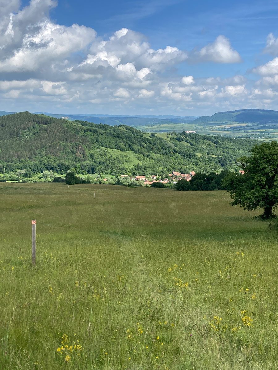 Via Transilvanica view across meadow.