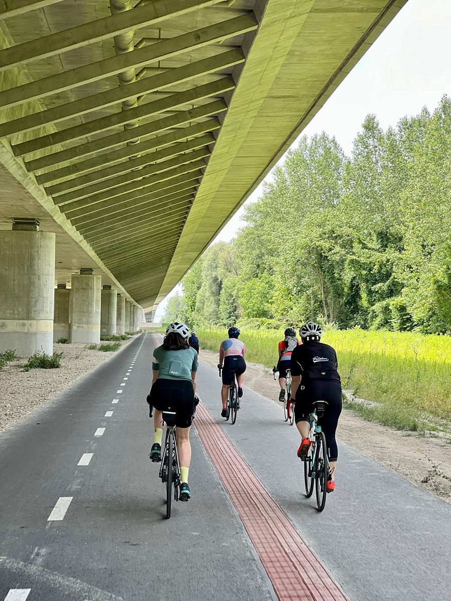 Segregated cycle path in countryside.